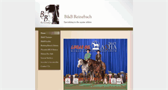 Desktop Screenshot of bbreinebach.com