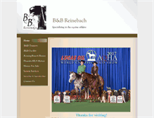 Tablet Screenshot of bbreinebach.com